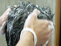 �V�����v�[�C���[�W�Q